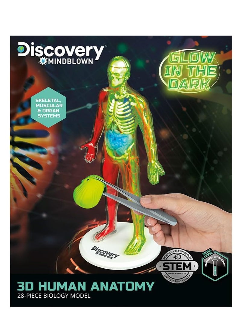 Discovery Mindblown - 3D Human Anatomy Kit - Image 4