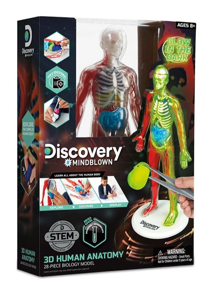 Discovery Mindblown - 3D Human Anatomy Kit - Image 2