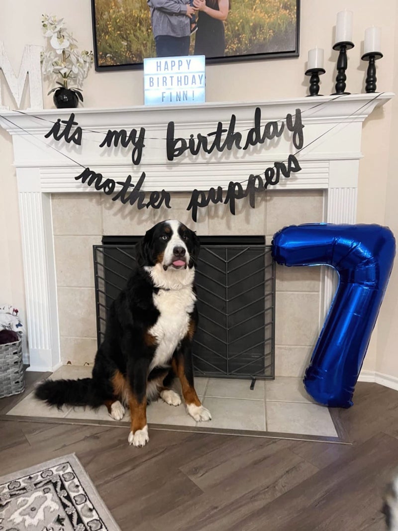 Mluchee 40 Inch Navy Blue 7 Balloon Numbers, Six Seven Birthday Decorations, 7 17 27 70 Year Old Balloon, Balloon Number for Engagement, Wedding - Image 2
