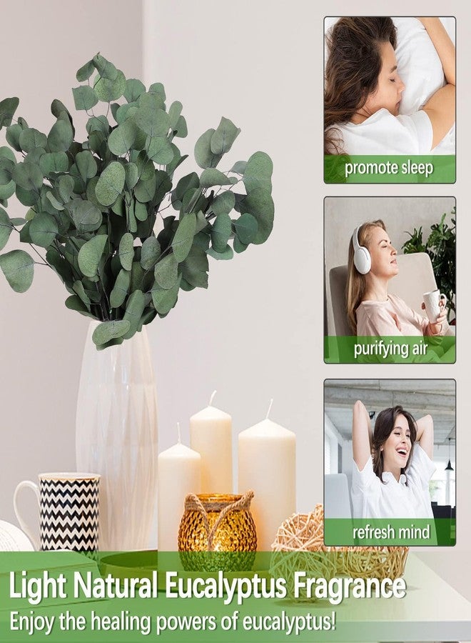 HIAGROW Dried Eucalyptus Greenery Stems 20PCS(Apple) - Image 2