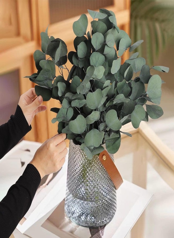 HIAGROW Dried Eucalyptus Greenery Stems 20PCS(Apple) - Image 4