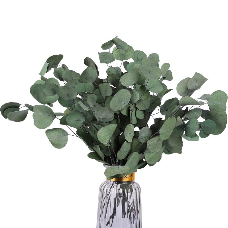 HIAGROW Dried Eucalyptus Greenery Stems 20PCS(Apple) - Image 1
