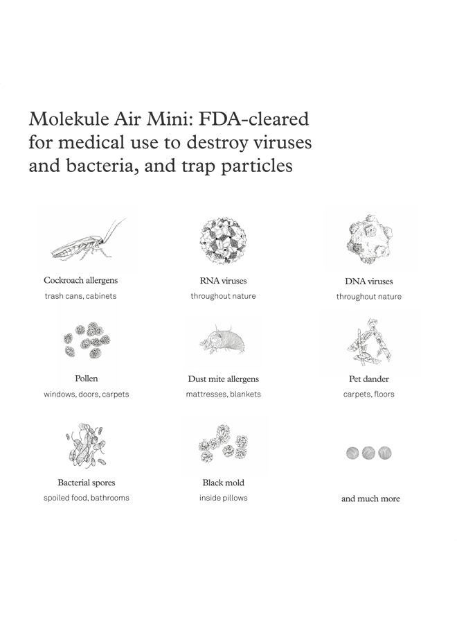 Molekule Air Mini & Air Mini+ – PECO-Filter, - Image 5