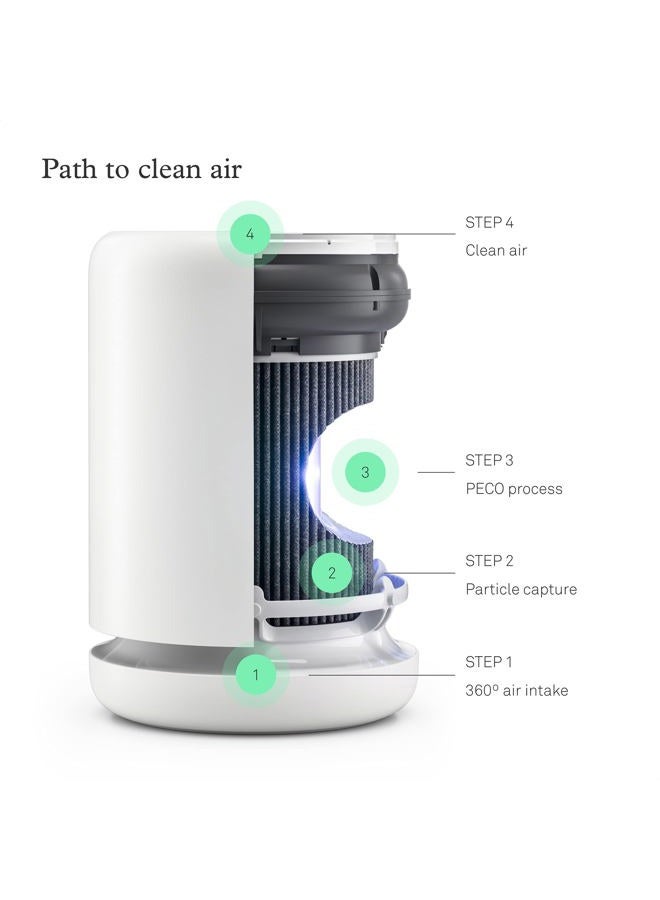 Molekule Air Mini & Air Mini+ – PECO-Filter, - Image 3