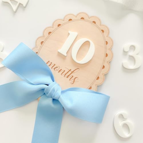 Haoser Scallop Baby Birth Stats Sign and Milestone Cards, Photo Prop | Baby Birth Reveal Sign |Baby Photo Props|Cards Interchangeable Number 13 pc for Baby Growth Recording (Blue Ribbon) - Image 2
