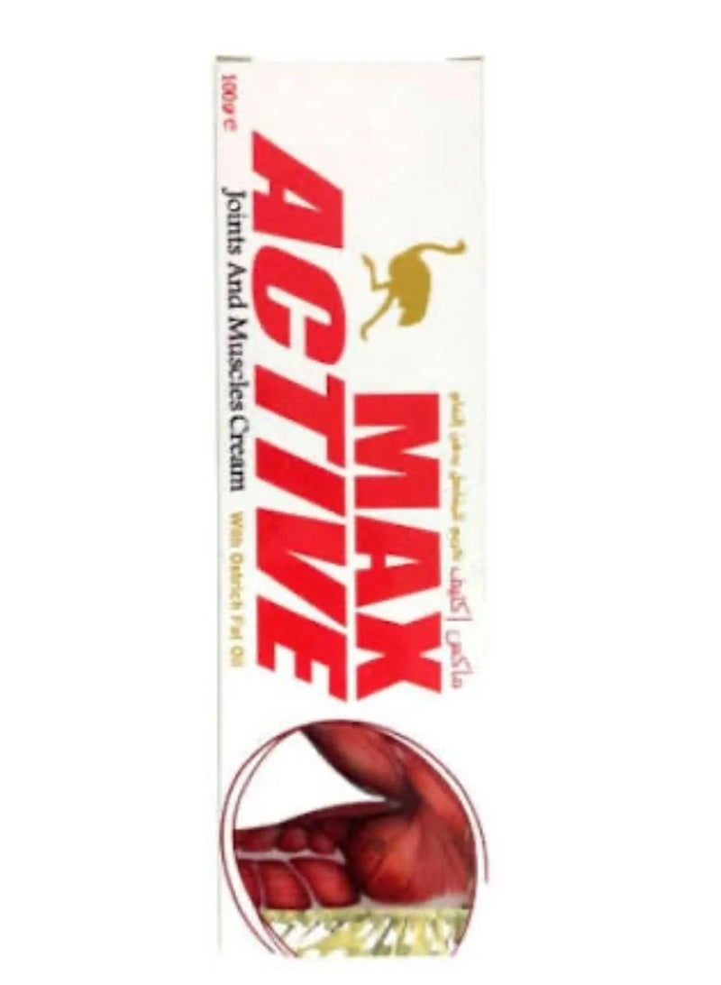 كريم ماكس أكتيف (Max Active) للمفاصل والعضلات، بحجم 100 جرام.