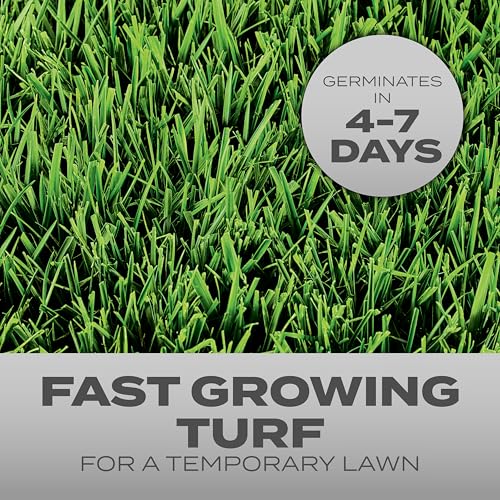 Scotts Turf Builder Grass Seed Quick Fix Mix Fast Growing Turf for a Temporary Lawn, 3 lbs. - Image 2