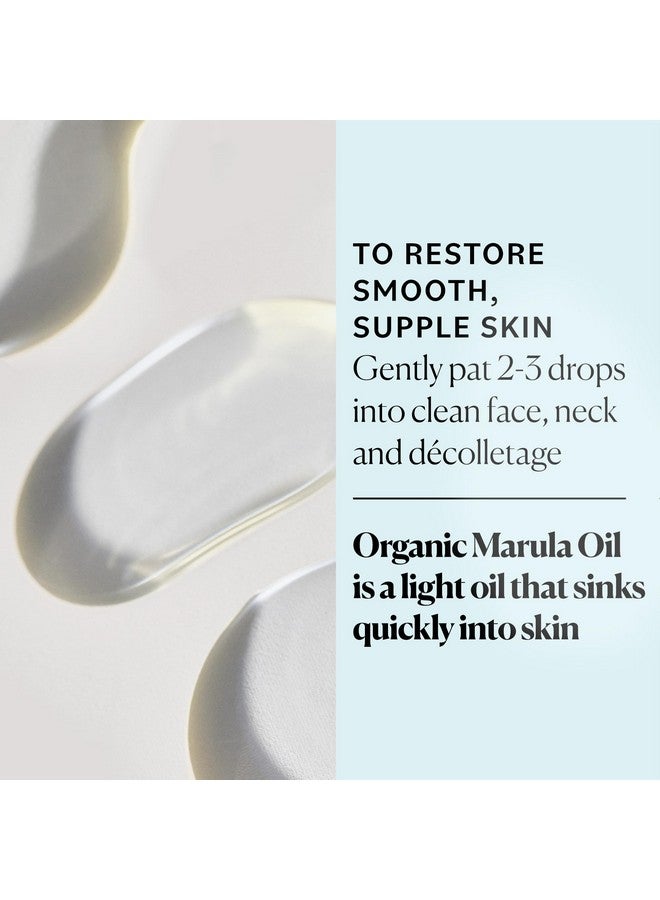 سكاي أورغانكس زيت مارولا عضوي من سكاي أورجانيكس للوجه، نقي ١٠٠٪ ومعصور على البارد، معتمد عضويًا من وزارة الزراعة الأمريكية، لتجديد البشرة وتوازنها وتعزيز إشراقتها، ١ أونصة سائلة - Image 3