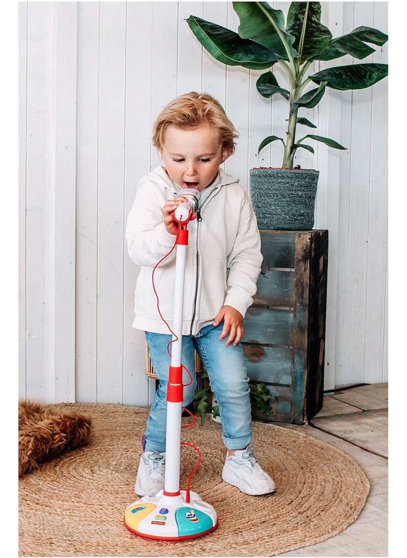 Standing Microphone