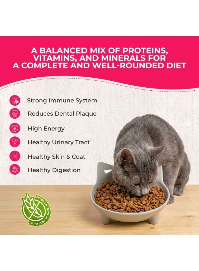 Voskes Adult Cat food Chicken | Adult Complete Chicken Dry Cat Food for Immunity, Digestion & Urinary Health | High Protein, Prebiotics, Fish Oil | Hairball Control, Grain-Free Formula - Image 4