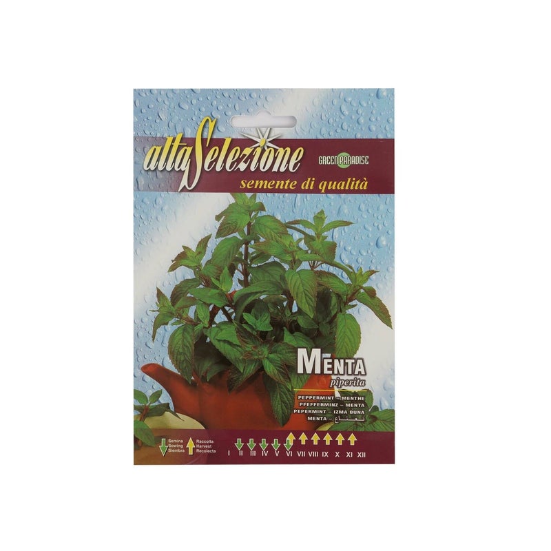 Alta Peppermint Seeds 92/1-AS