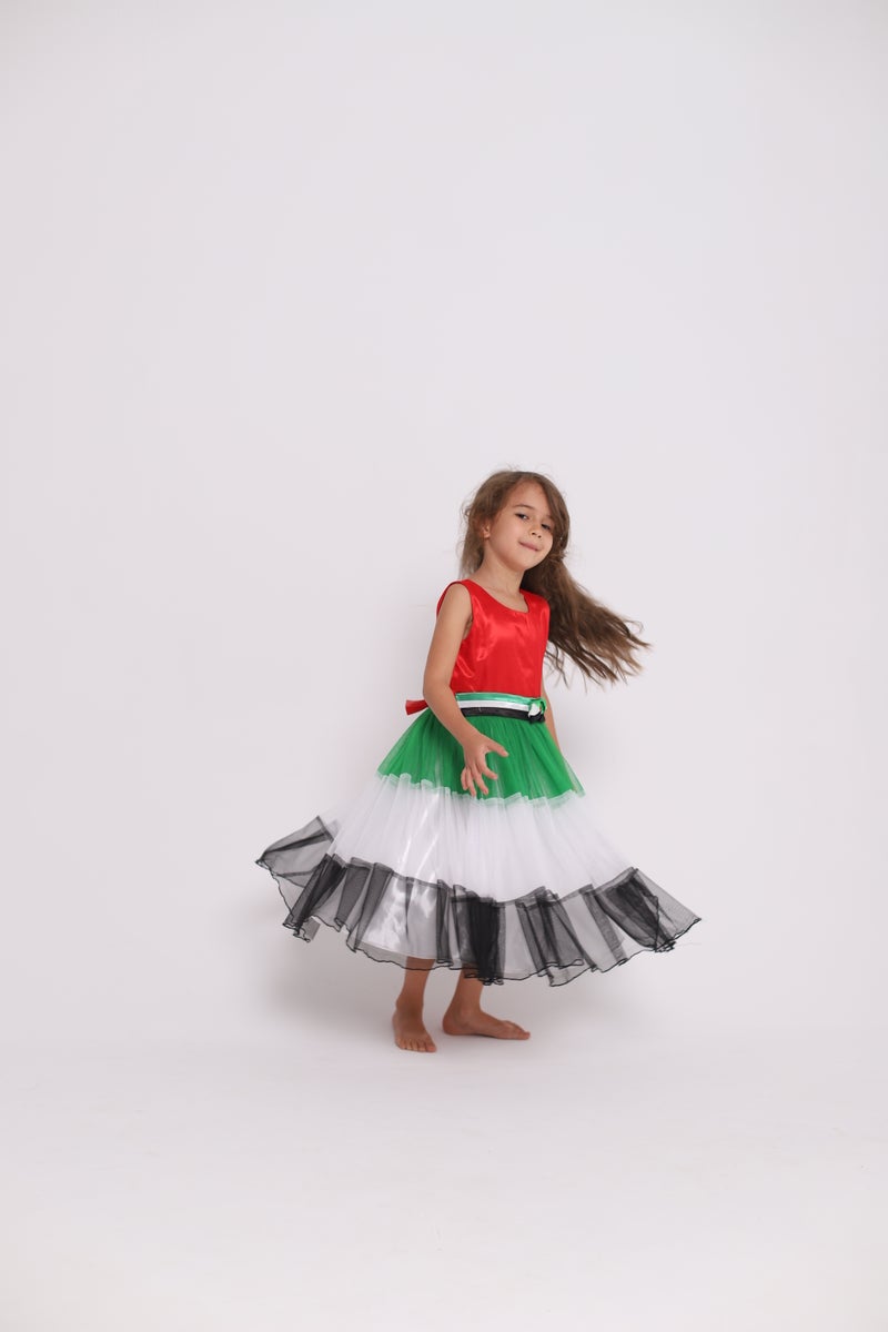 D'Daniela UAE National Day Flag Dress - Image 3