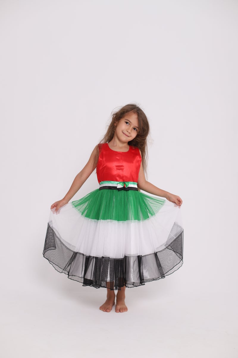 D'Daniela UAE National Day Flag Dress - Image 2