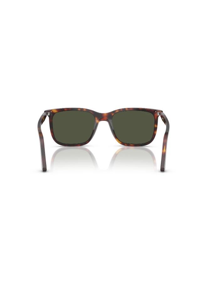 Persol Full Rim Square Sunglasses 0PO3357S  - Image 4