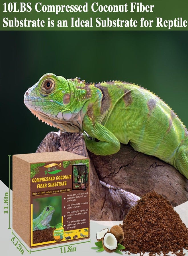 ZeeDix 10LBS Coconut Fiber Substrate, 100% Organic Coconut Husk Coco Coir Brick Terrarium Bedding for Reptiles, Tortoise, Bearded Dragon, Leopard Gecko, Snake, Hermit Crabs, Frogs, Tarantula - Image 2