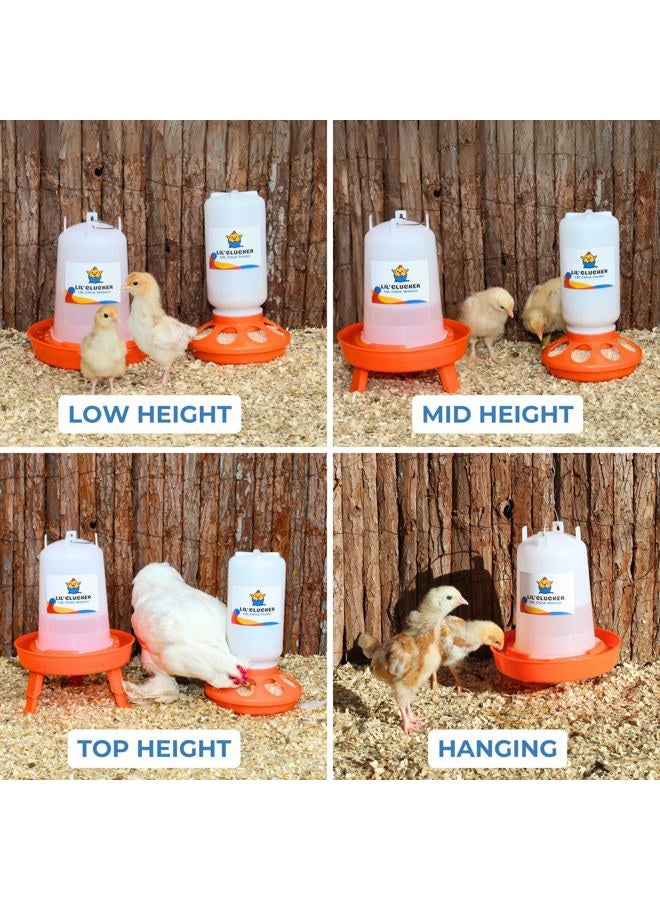 Lil'Clucker 1L Chick Feeder, 1.5L Chicken Waterer - No Leakage Chick Feeder and Waterer Kit - Hanging Baby Chick Waterer, Durable Chicken Water Feeder - Chicken Feeder and Waterer Set, Poultry Waterer - Image 2