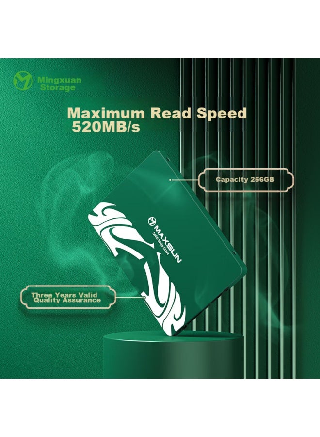 MAXSUN ماكسون 256 جيجابايت SSD محرك الحالة الصلبة واجهة SATA 3.0 520 ميجابايت/ثانية سلسلة يولينوي - Image 3