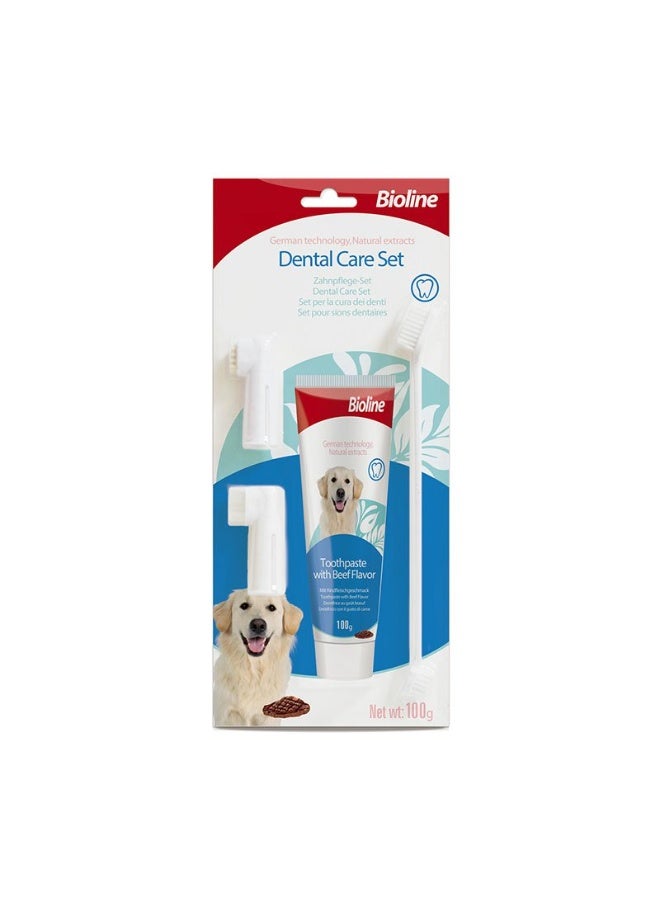 Bioline Dog Toothpaste Beef Flavor 100g Pet Dental Care, Plaque & Tartar Control, Fresh Breath - Image 2