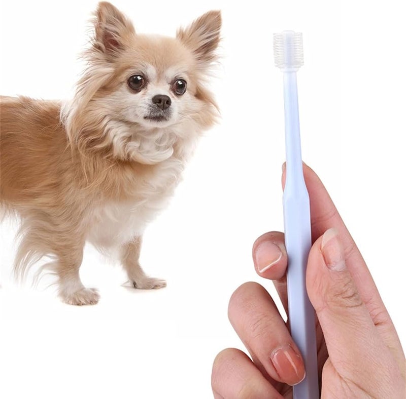 White Hexagon 360 Degree Dog Toothbrush Kit For Pet Teeth Health And Grooming - Image 5