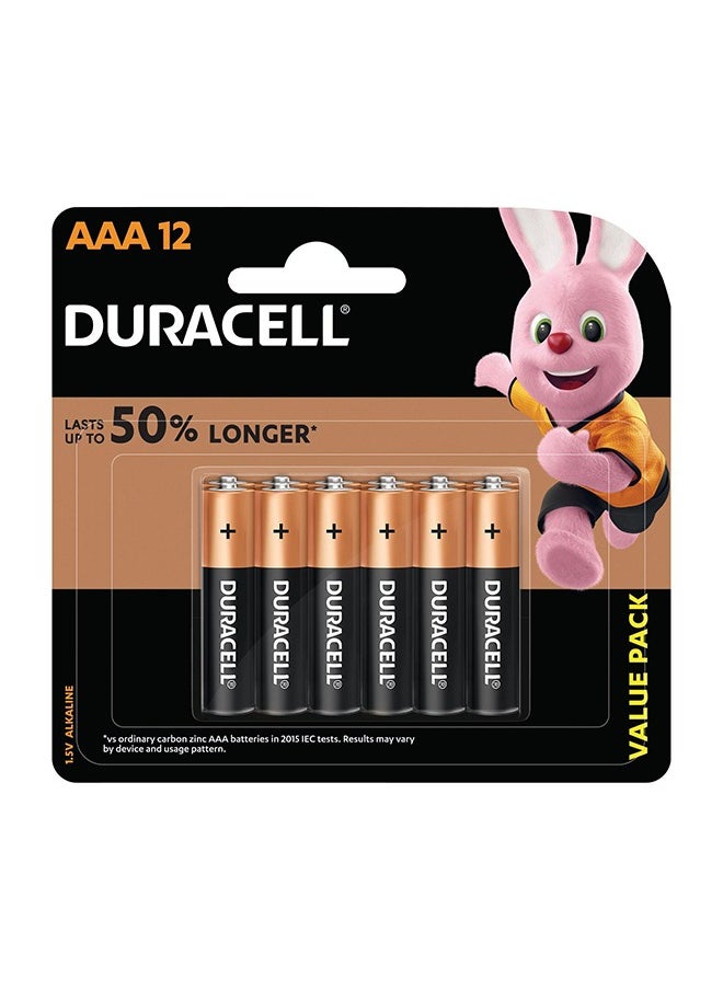 Duracell AAA Alkaline Batteries Du Cb AAA 12Bl Valuepack Monet 