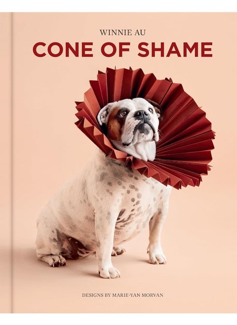 Union Square & Co. Cone of Shame