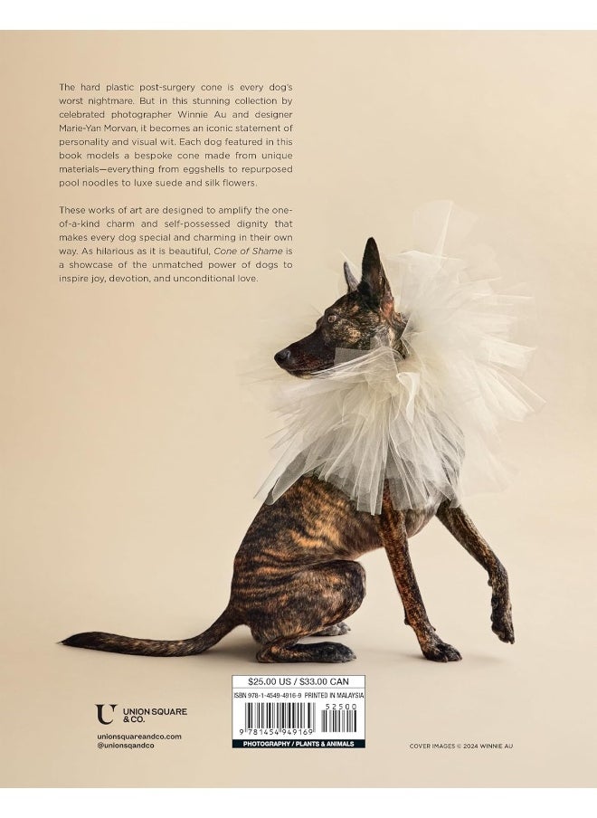 Union Square & Co. Cone of Shame