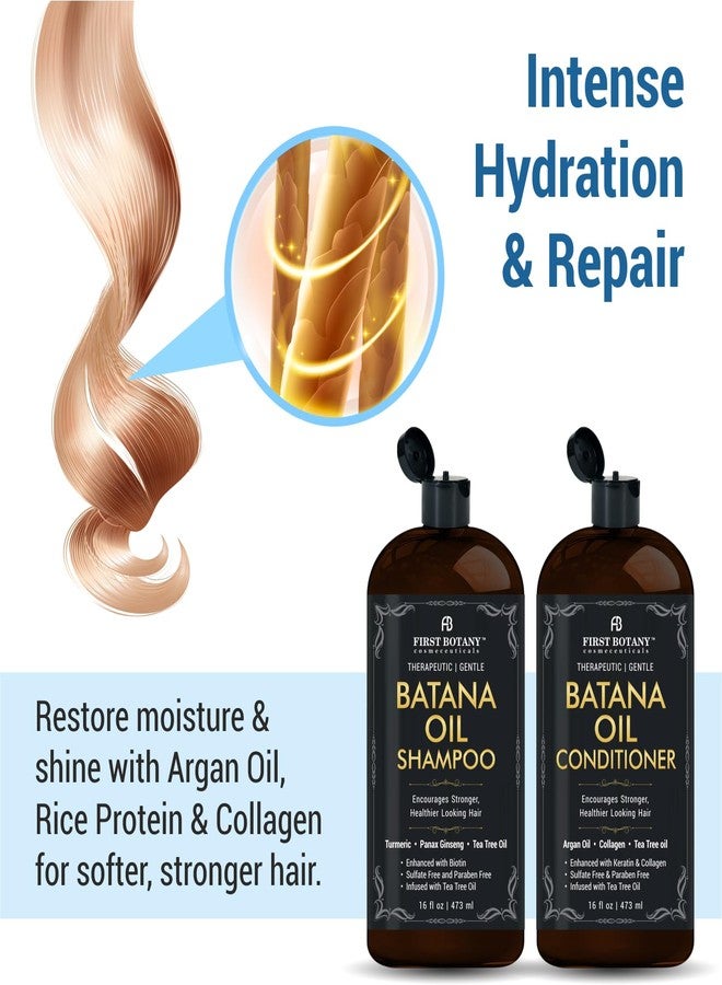 First Botany Batana Oil Shampoo and Conditioner - Fights Hair Loss, Promotes Hair Growth, Fights Dandruff, Lice & Itchy Scalp - for Men and Women Sulfate Free - 16 fl oz x 2 - Image 3