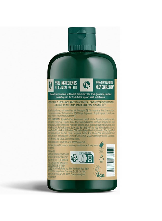 THE BODY SHOP Ginger Anti-Dandruff Shampoo – Clarifying Shampoo for Dry, Flaky & Itchy Scalp, With Ginger Root Density Complex, Soothes & Clears Flakes, Promotes Healthy Hair Growth, Vegan Bestseller, 400ml - Image 2
