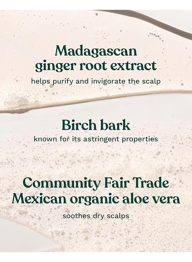 THE BODY SHOP Ginger Anti-Dandruff Shampoo – Clarifying Shampoo for Dry, Flaky & Itchy Scalp, With Ginger Root Density Complex, Soothes & Clears Flakes, Promotes Healthy Hair Growth, Vegan Bestseller, 400ml - Image 4