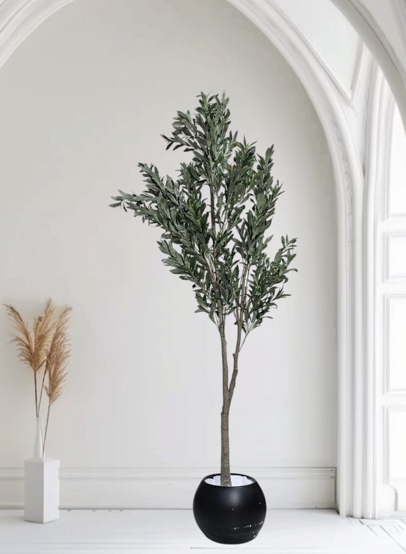 بيت الرواسم شجر زيتون مثمر مع اصيص اسود كبير بتصميم جذاب  اجعل منزلك اكثر اناقة 220 سم - Image 1