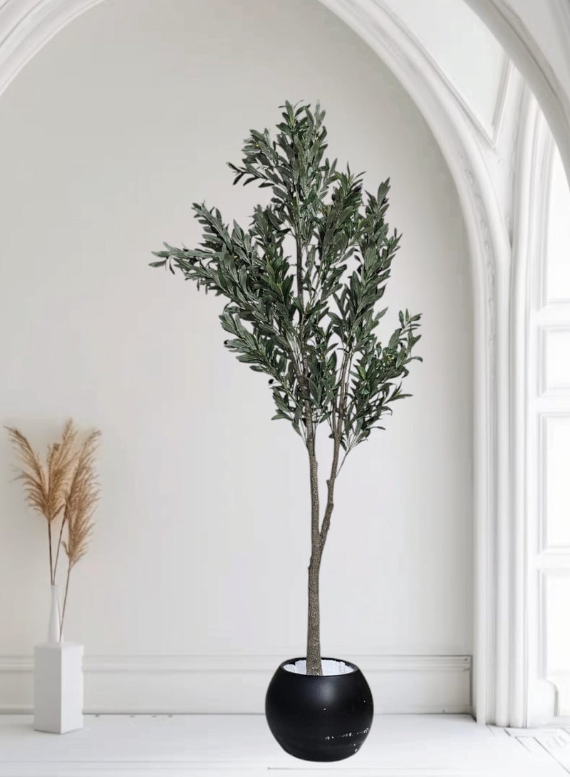 بيت الرواسم شجر زيتون مثمر مع اصيص اسود كبير بتصميم جذاب  اجعل منزلك اكثر اناقة 220 سم - Image 3