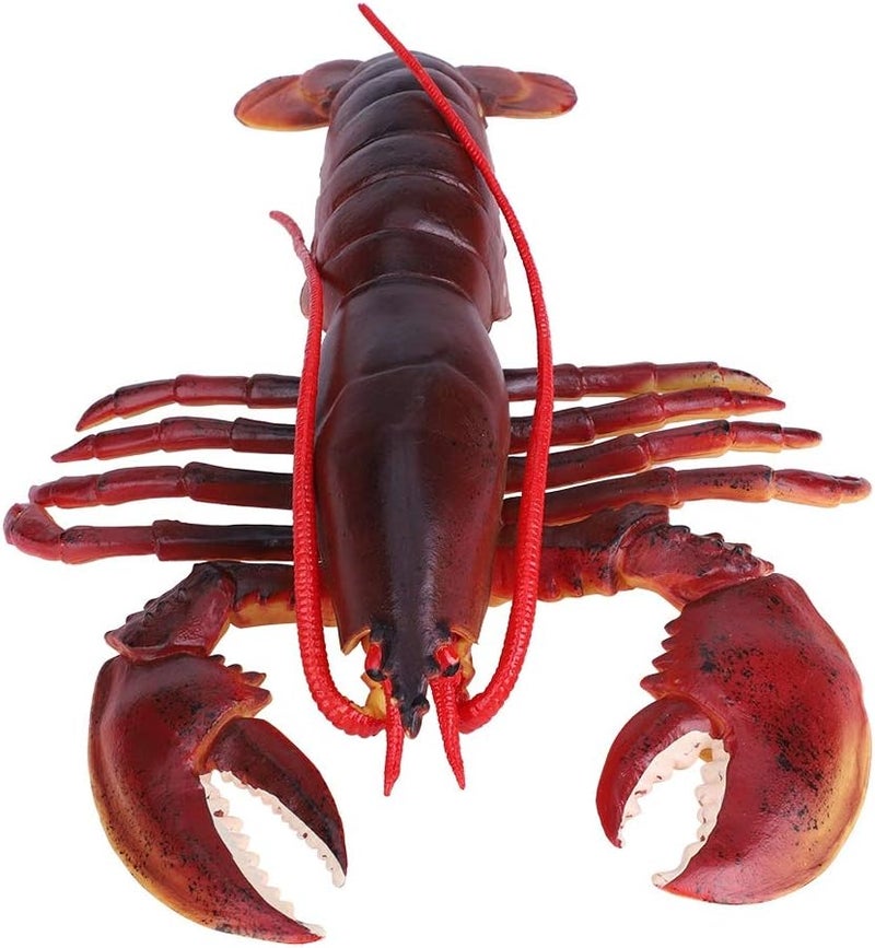 klarako Lobster Toy, Simulation Soft Plastic Lobster Model Seafood Restaurant Prop Decoration Kids Children Toy (Dark Color #1) - Image 5