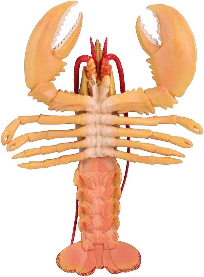 klarako Lobster Toy, Simulation Soft Plastic Lobster Model Seafood Restaurant Prop Decoration Kids Children Toy (Dark Color #1) - Image 2