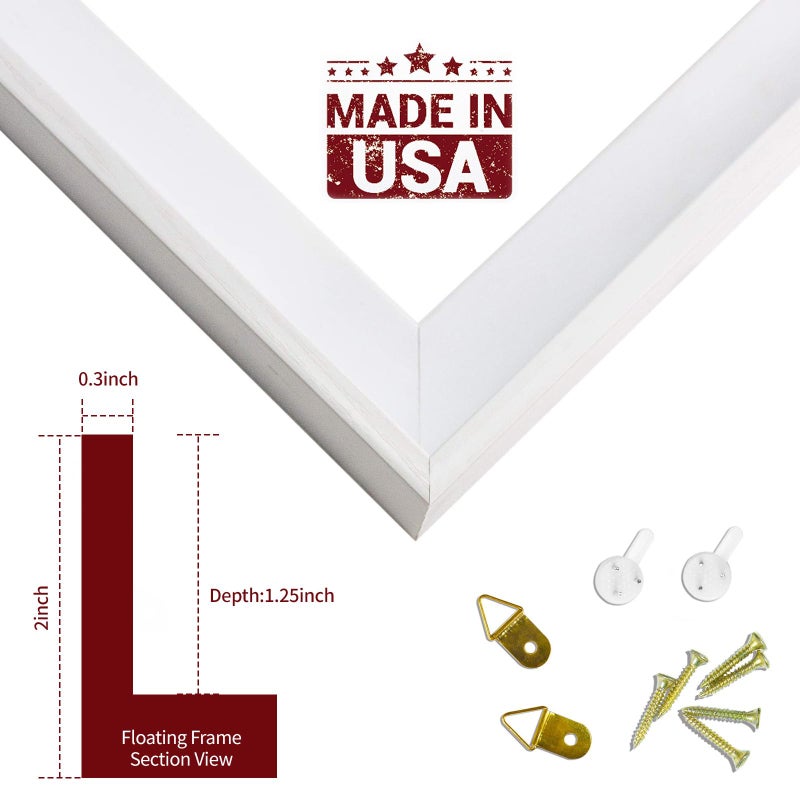 Prixas Print Floater Frame لـ 1.25 قماش سميك متوفر بحجم 25+ وإطارًا عائمًا مثاليًا للألوان اللوحة القماشية النهائية اللوحة الزيتية Art D؟ Cor (الإطار الأبيض 8 "" X10 "") - Image 4