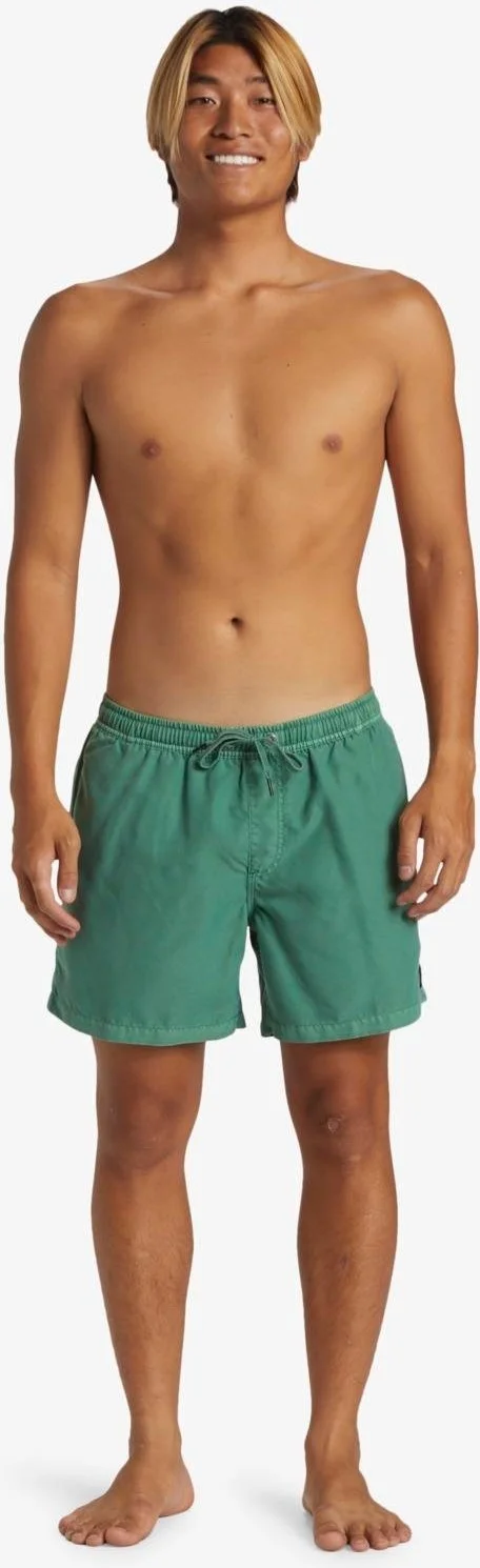 QUIKSILVER Everyday Surfwash Volley 15 Men's Swim Shorts