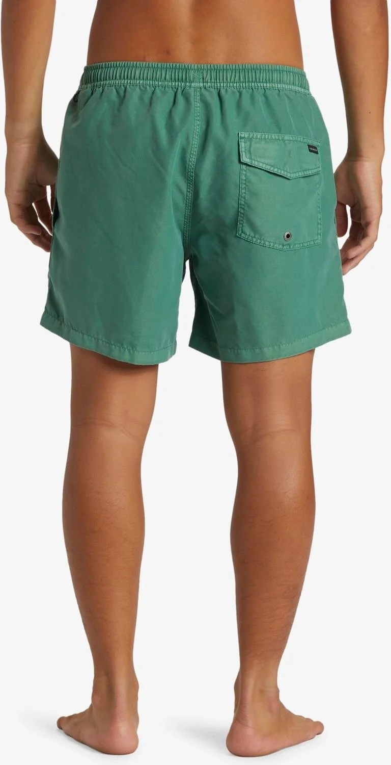 QUIKSILVER Everyday Surfwash Volley 15 Men's Swim Shorts