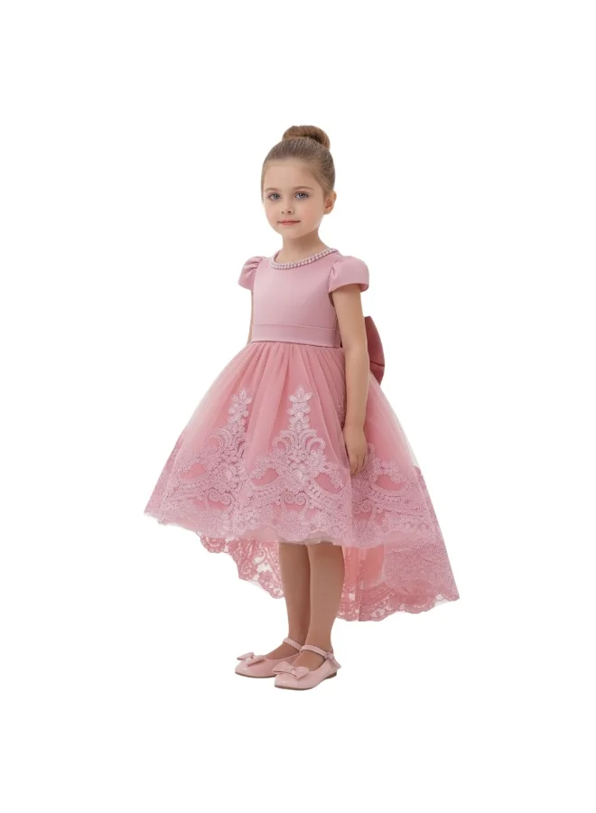 دىدانيالا Pink Lace Embroidered High-Low Tutu Dress