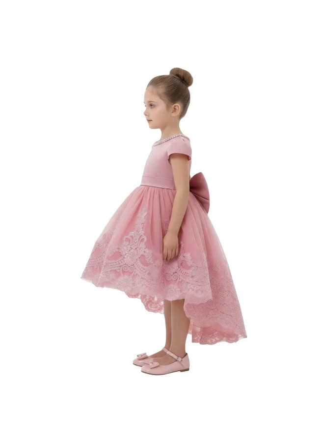 دىدانيالا Pink Lace Embroidered High-Low Tutu Dress