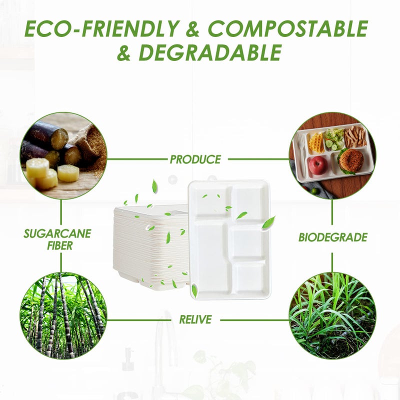Vplus 100% Compostable 5 Compartment Paper Plates, 100 Pack, 12.5 x 8.6 inch Disposable School Lunch Trays, Eco-Friendly Bagasse Plates for Buffet, and Party - Image 5