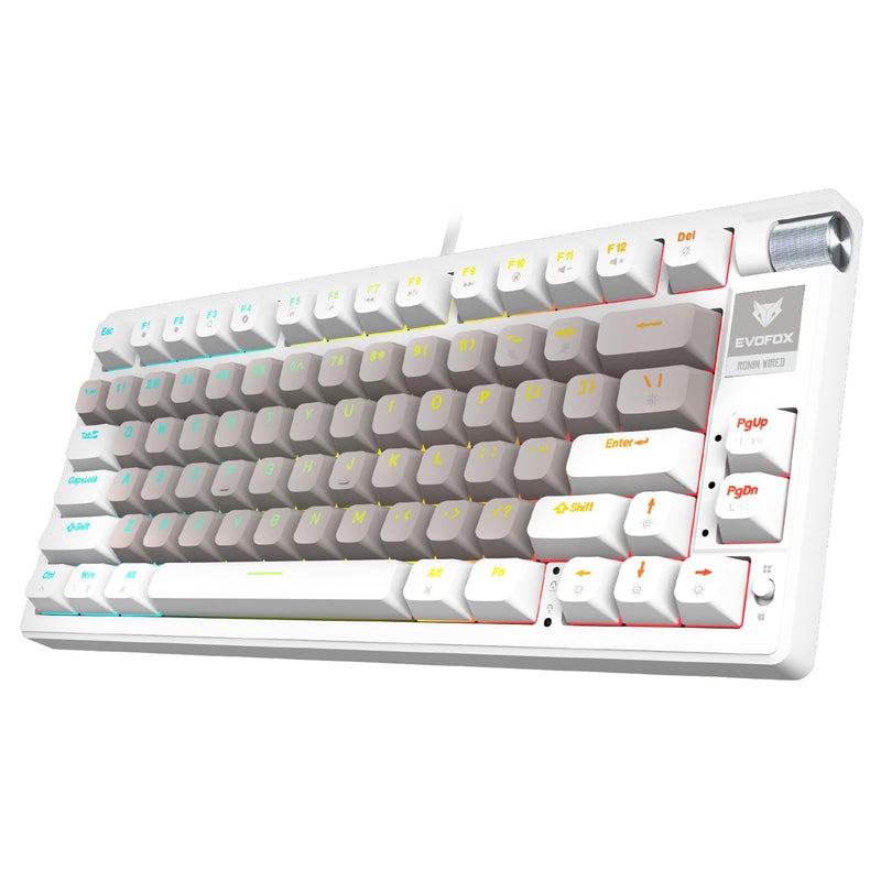 EvoFox Ronin Wired Mechanical Gaming Keyboard | 9 Layer Gasket Sound Dampening Design, Outemu Red Silent Switches, Hot Swappable, Per-Key RGB, nKey Rollover, Volume Knob | Windows Software (White) - Image 1
