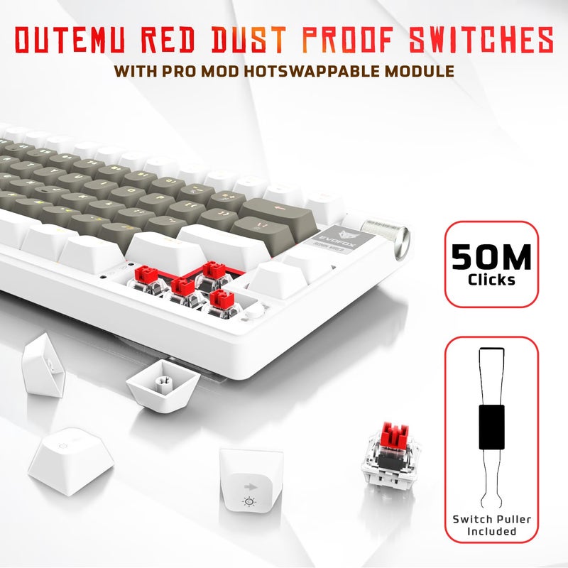 EvoFox Ronin Wired Mechanical Gaming Keyboard | 9 Layer Gasket Sound Dampening Design, Outemu Red Silent Switches, Hot Swappable, Per-Key RGB, nKey Rollover, Volume Knob | Windows Software (White) - Image 3