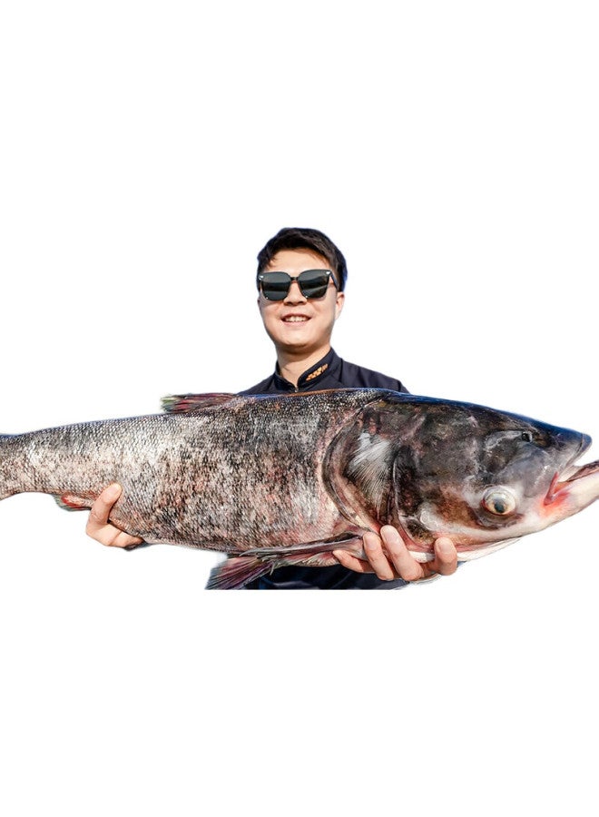 Han Ding Extreme Lightweight Fishing Rod Comprehensive Rod Carbon Fiber Platform Fishing Rod Super Light Super Hard Hand Rod Fishing Rod Fishing Gear Brand 6.3M - Image 1