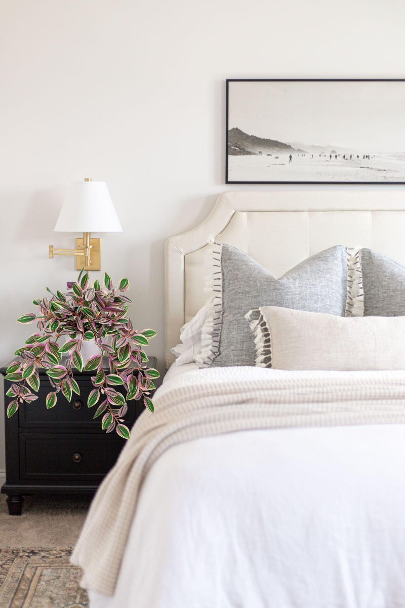 Briful Faux Plants Indoor Fake Potted House Plants Artificial Watermelon Peperomia Hanging Plant for Home Office Bedroom Aesthetic Shelf Kitchen Decoration(Pink - 1 Pack) - Image 4