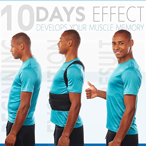 Selbite Back Brace Posture Corrector for Men and Women - Adjustable Posture Brace for Upper and Lower Back Pain Relief - Muscle Memory Support Straightener (Small (Waist 28”-32”)) - Image 2