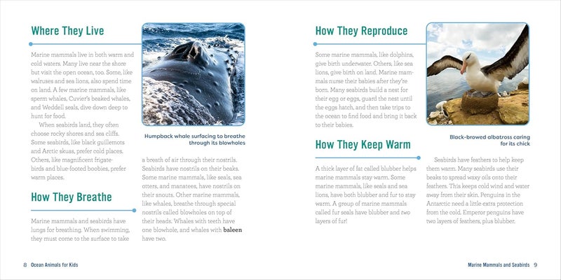 Ocean Animals for Kids: A Junior Scientist's Guide to Whales, Sharks, and Other Marine Life - Image 3