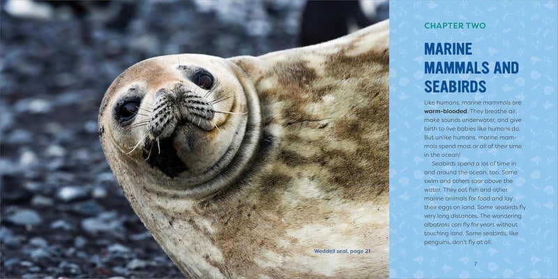 Ocean Animals for Kids: A Junior Scientist's Guide to Whales, Sharks, and Other Marine Life - Image 2