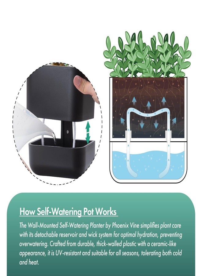 Phoenix Vine 6.5 Inch Wall Mounted Hanging Self Watering Planter Pot, Small Flower Succulents Herbs Plant Container, Black, Set of 3, 01-WP-B-3 - Image 4