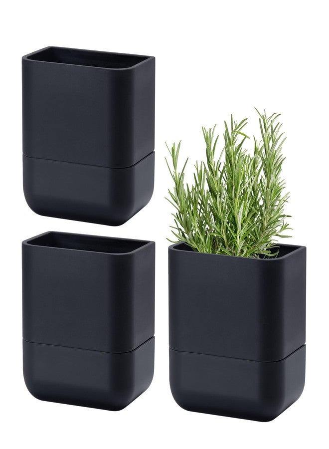 Phoenix Vine 6.5 Inch Wall Mounted Hanging Self Watering Planter Pot, Small Flower Succulents Herbs Plant Container, Black, Set of 3, 01-WP-B-3 - Image 1