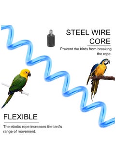 Parrot Flying Rope, Bird Harness Anti Bite Bird Aviator Training Rope 6m Parrot Bird Harness Leash Rope Pet Supplies for Macaw African Greys Parakeet, With 3 Parrot Foot Rings - pzsku/Z39444067C81AE8BA7D08Z/45/_/1673060084/5dd1b2f3-abd3-4af9-a8ec-365225ee142a