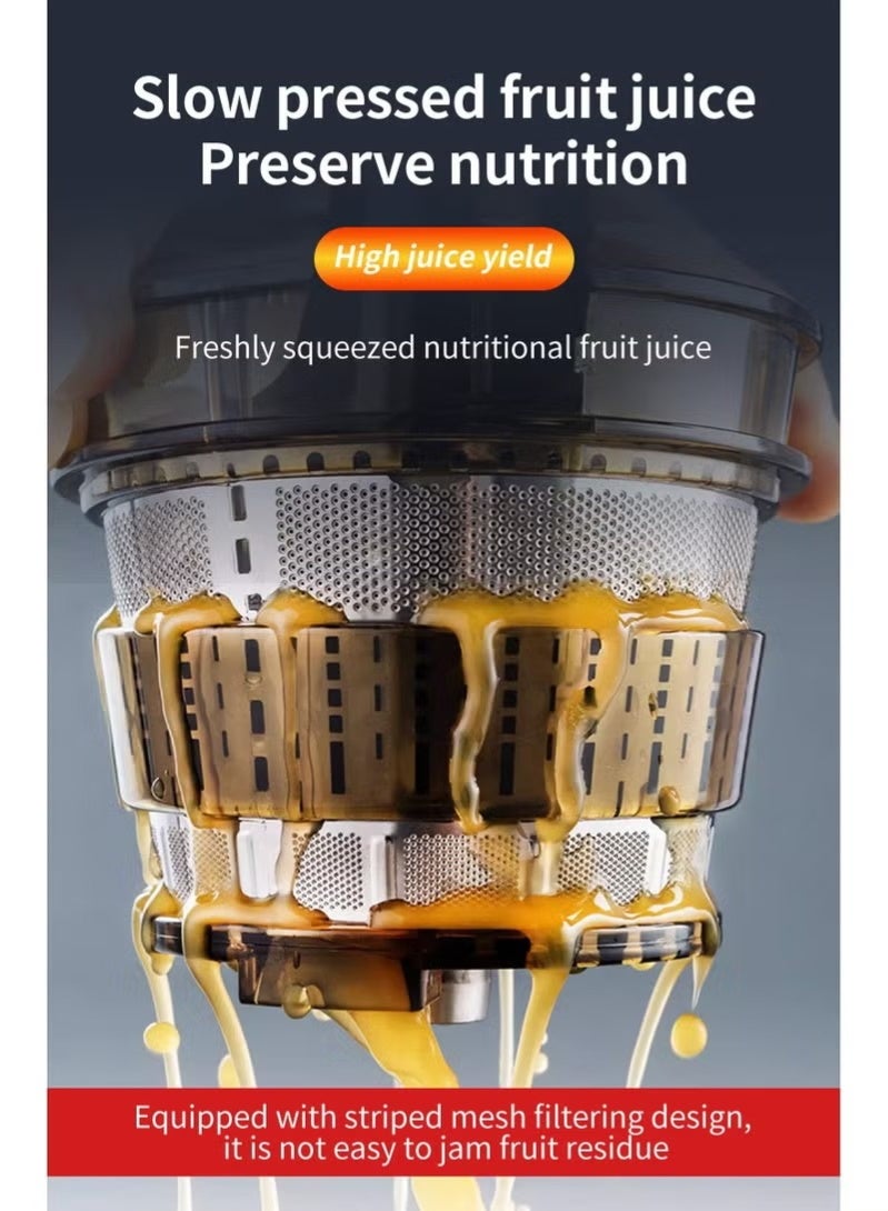 Slow Masticating Juicer, Slow juicer, Fruit/Vegetable Juicer, Cold Press Juicer with High Output - Image 2